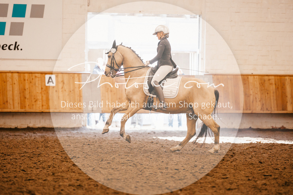 3I6A2317 | Stimmungsvolle Portraits und Reitsportfotografie im Ruhrgebiet und im Münsterland.

Pferdefotografie, Hundefotografie, Tierfotografie, Reportagen, Portraits von Tier und Mensch, Turnierfotografie in Bochum, Recklinghausen, Marl, Haltern am See, Dülmen.. - Realisiert mit Pictrs.com