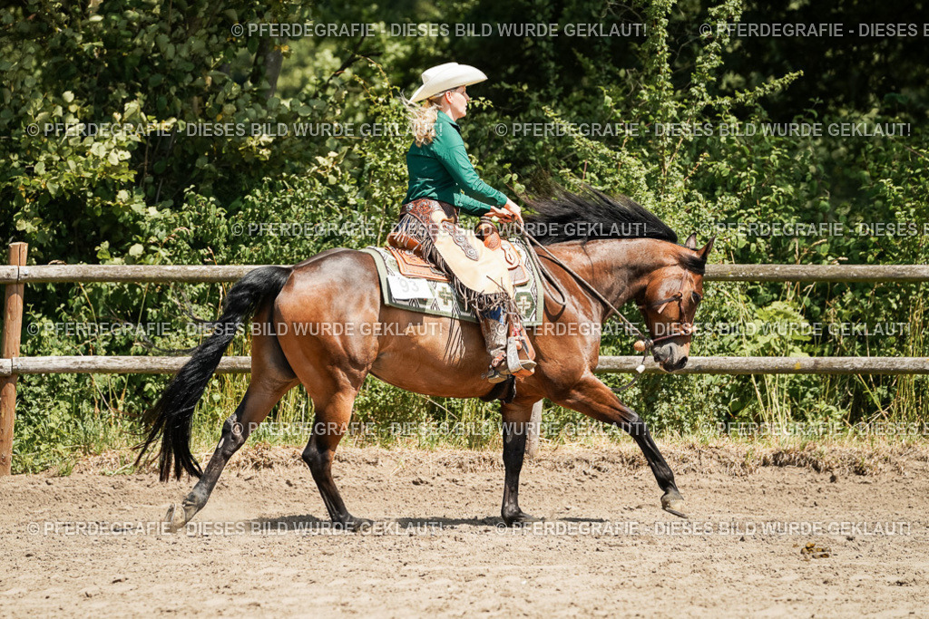 DSC09442 | Pferdegrafie