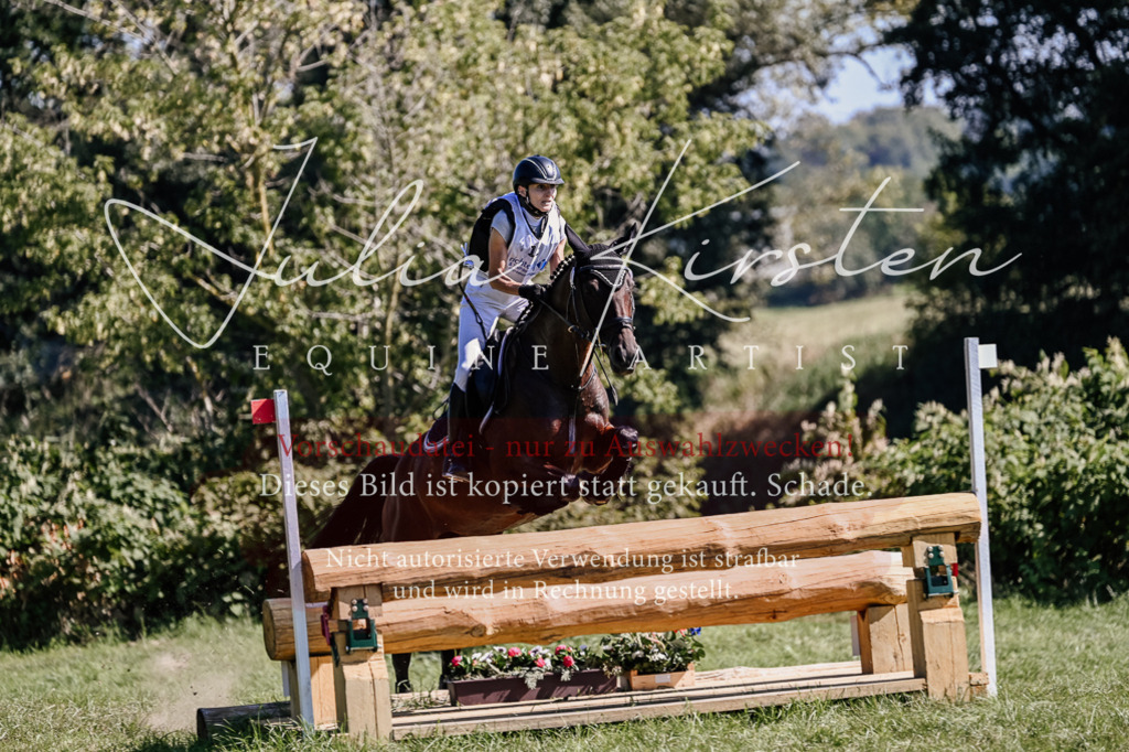 DSC_1762 | Pferde- und Turnierfotografie in Westsachsen. Pferdeportraits, Auftragszeichnungen und intuitive Kunst.