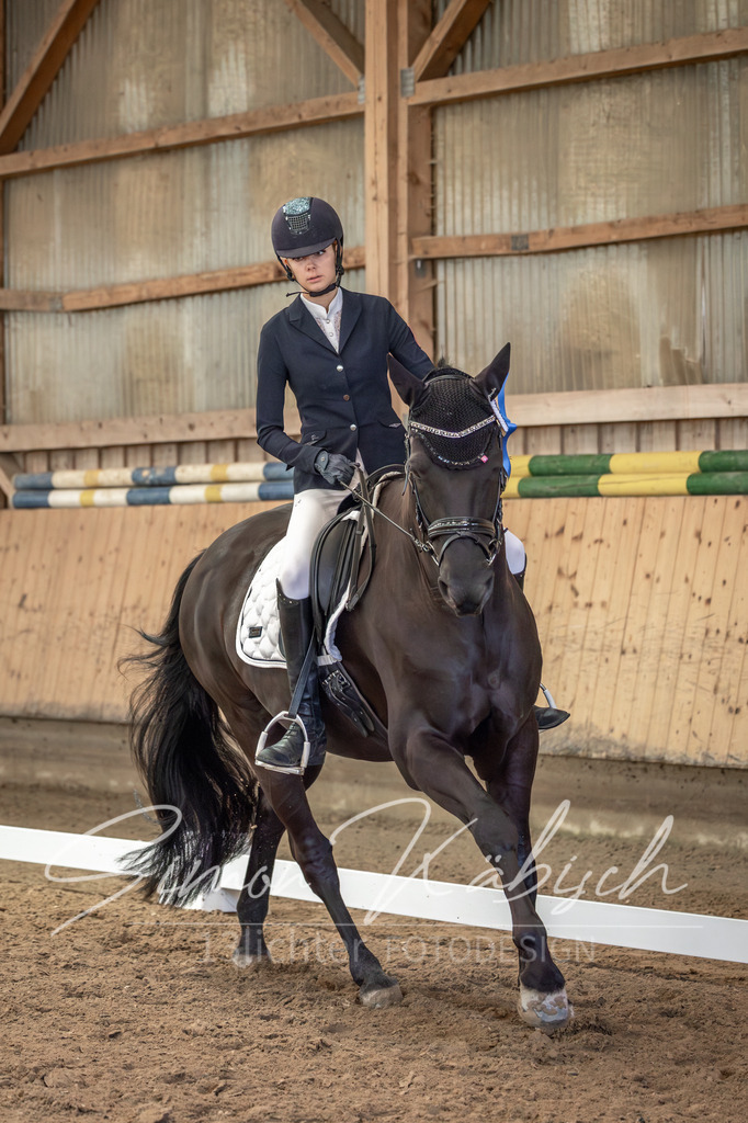20251011-_3LI7347 | Tierfotografie Pferde, Hunde, Katzen, Haustiere.
Turnierfotografie Reitturniere, Reiten, Springreiten, Dressur in Hanau, dem Main-Kinzig-Kreis und dem Rhein-Main- Gebiet um Frankfurt
