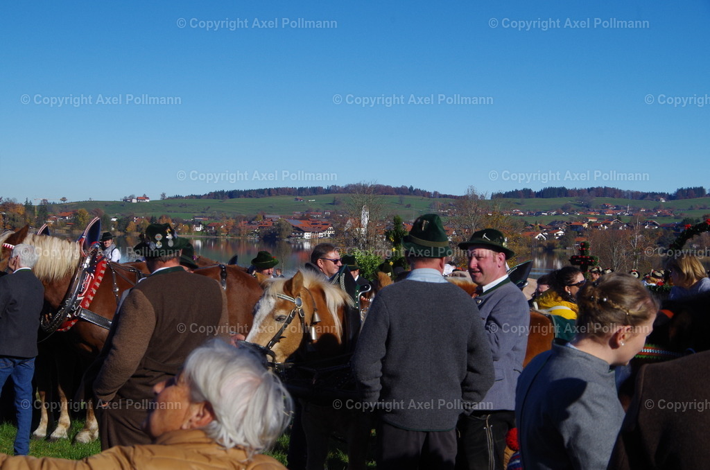 IMGP7750 | fotografiert von Axel PollmannLeonhardi Wallfahrt Benediktbeuern und Murnau, Fronleichnam, Fasching, Landschaft im Loisachtal und Benediktbeuern  - Realisiert mit Pictrs.com