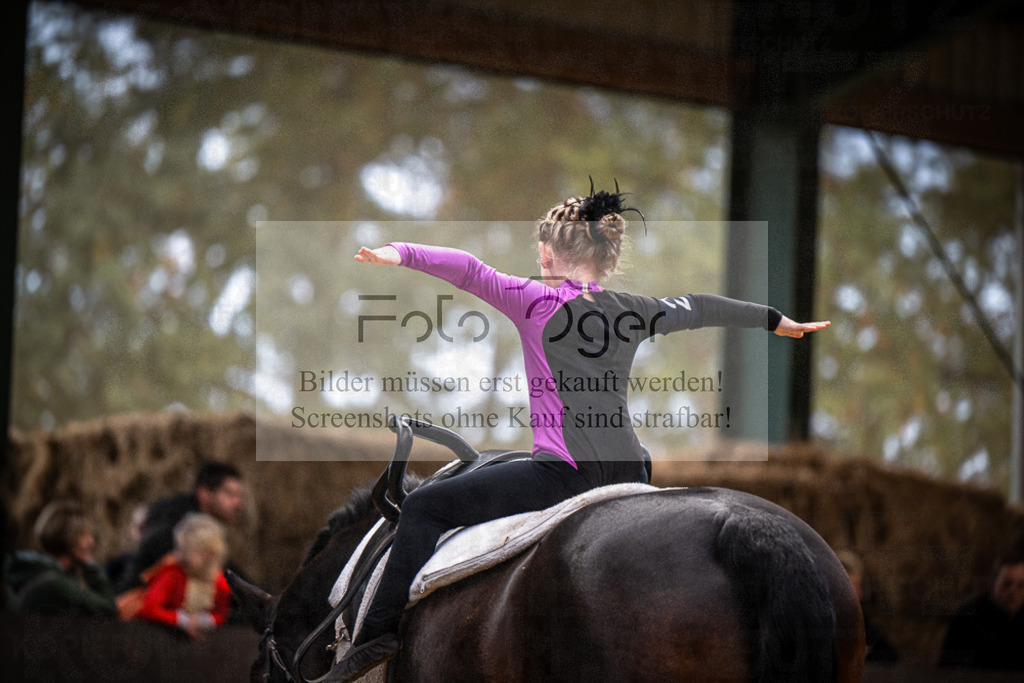 DOS_0038 | Entdecke hochwertige Reitturnierfotos von Foto Oger. Professionell, emotional und authentisch – jetzt Lieblingsmomente im Shop bestellen.Deutschlandweite Turnierfotografie. - Realisiert mit Pictrs.com