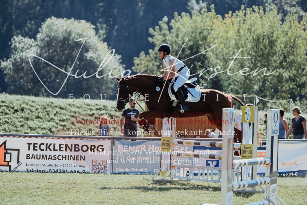 DSC_5665 | Pferde- und Turnierfotografie in Westsachsen. Pferdeportraits, Auftragszeichnungen und intuitive Kunst.