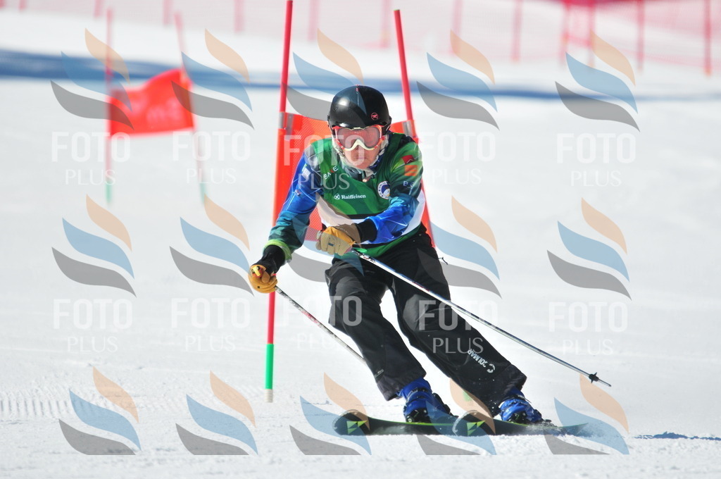 C4033 | holidayphoto