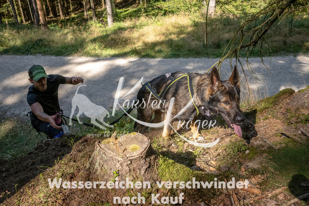 1241_ZZ94972 | kk-dogfotos