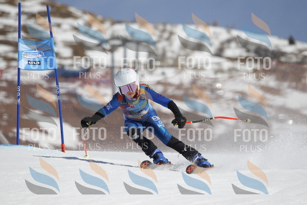 _U3G0214 | holidayphoto