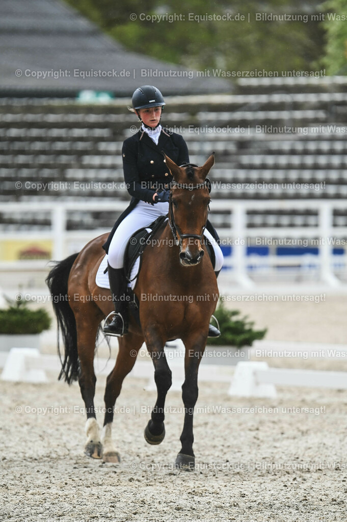 20230512_CCI4_Dressur_0102 | equistock