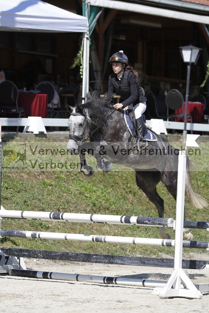 _MG_4608 | equestrian-live-com