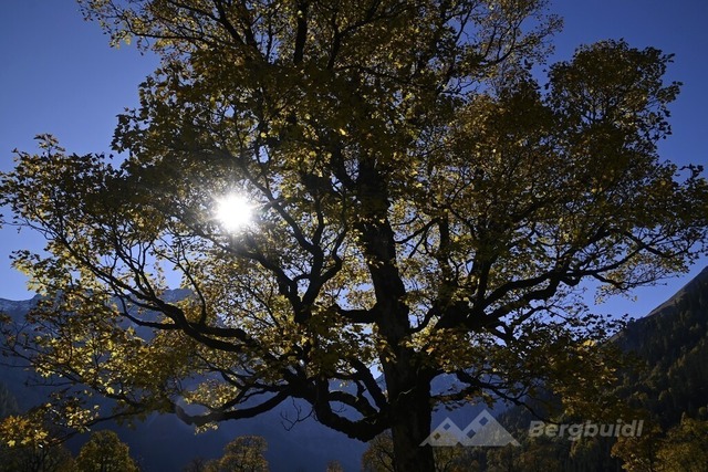Ahornboden 2025-10 | Landschaftsfotografie Berge Mountain Landscape FotografieNatur Bilder Buidl Bergbuidl Bayern Heimat BergfotografieSonnenaufgang Sonnenuntergang Hobbyfotograf Bilderverkauf Leinwand - Realisiert mit Pictrs.com