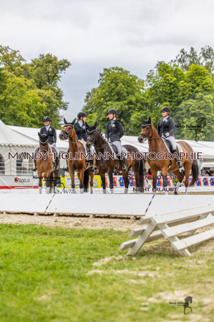 25.7.25 D1 59 (523 von 1569) | mandyhollmannphotographie