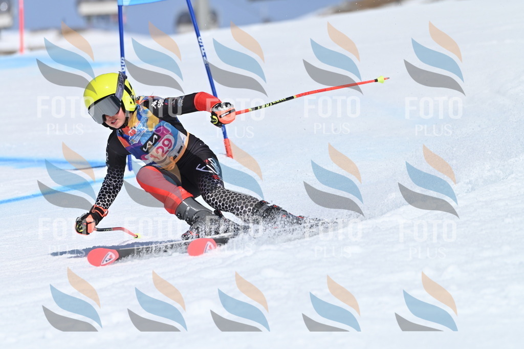 BGV_9973 | holidayphoto