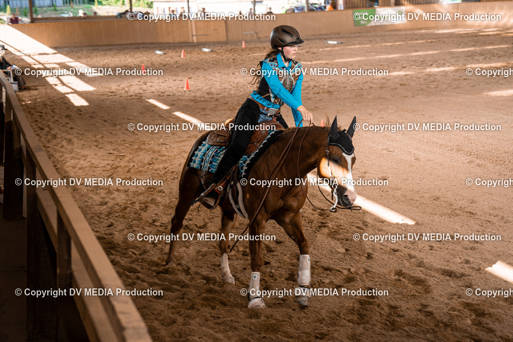 NE101151 | dv-media-shop - Realisiert mit Pictrs.com