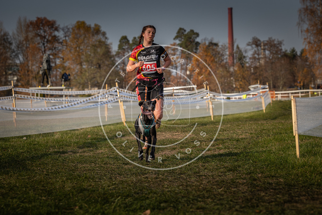 CaniXpix_0L8A0136 | Hundefotografie, Tierfotograf, Pfotenfotografie, Fotoshooting Hund, Hunde Portrait, Hundesport, Hundeportraits, Heideshooting, Hunde, Sportfotograf, Hundefotograf, Turnierhundsport, THS,  - Realisiert mit Pictrs.com