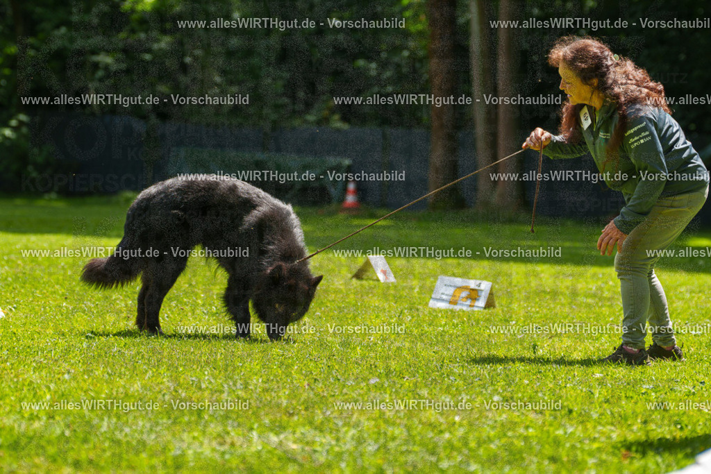 @allesWIRTHgut_Tierfotografie - www.allesWIRTHgut.de - 7R505681 | Professionelle Tierfotografie in Mönchengladbach von Daniel Wirth (allesWIRTHgut). Liebevolle & natürliche Bilder von Hunden & Katzen für unvergessliche Erinnerungen.