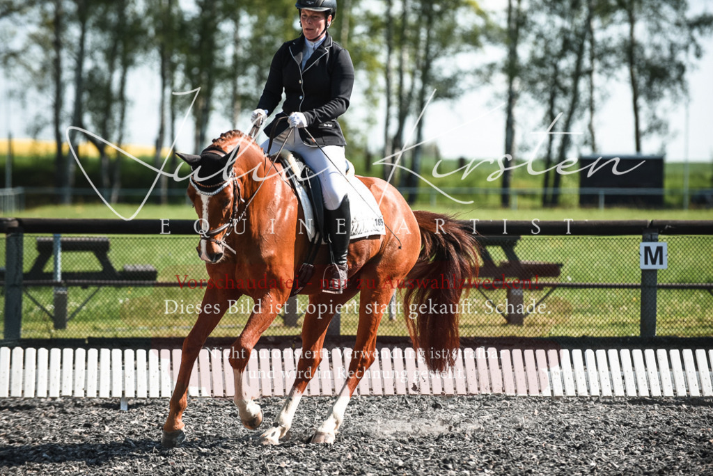DSC_8747 | Pferde- und Turnierfotografie in Westsachsen. Pferdeportraits, Auftragszeichnungen und intuitive Kunst.