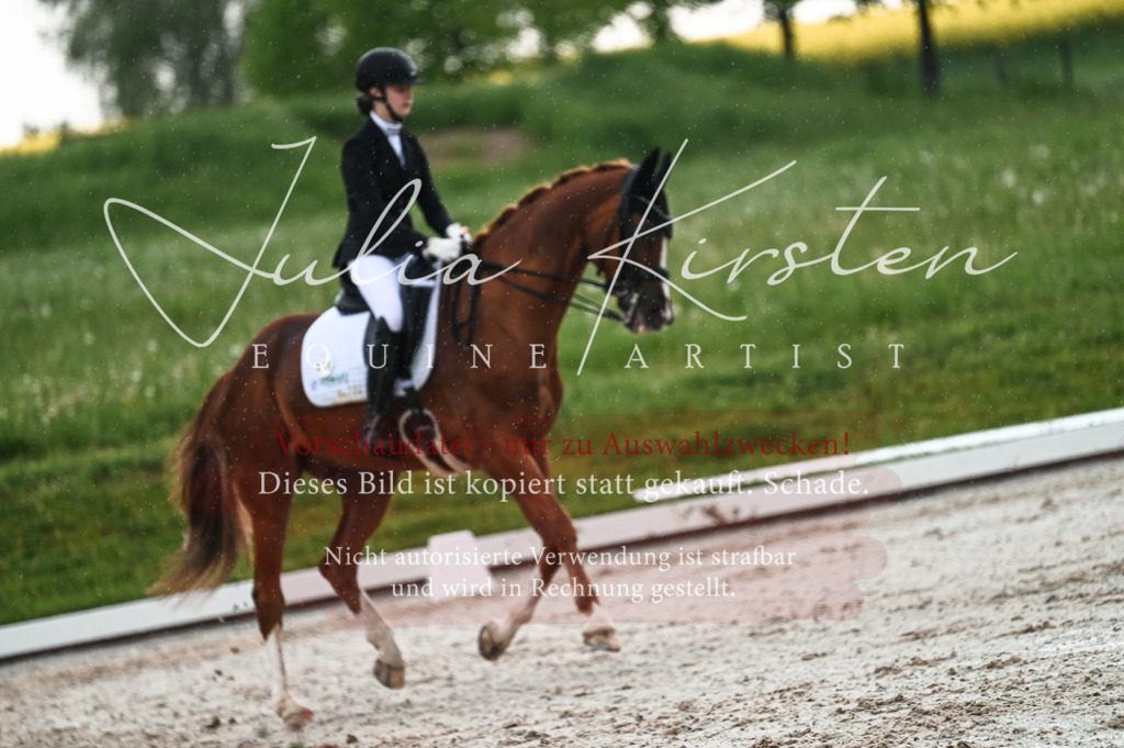 DSC_4301 | Pferde- und Turnierfotografie in Westsachsen. Pferdeportraits, Auftragszeichnungen und intuitive Kunst.