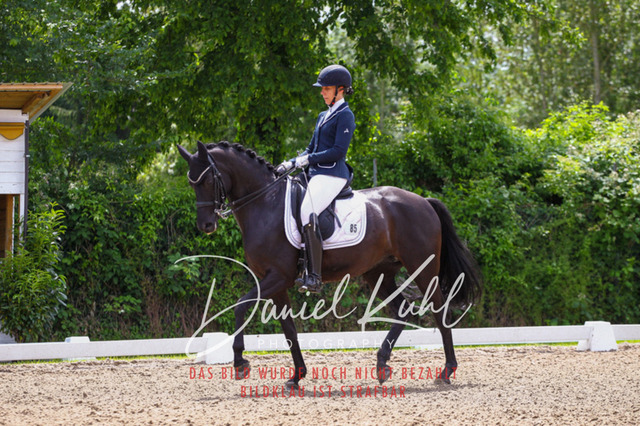 DKP41058 | Turnierfotos kaufen im Webshop von Daniel Kuhl Photography – entdecke professionelle Reitsportfotos aus Turnieren & Events. Hochwertige Turnierbilder online bestellen & sichern. Jetzt Fotos von Reitsportturnieren kaufen!