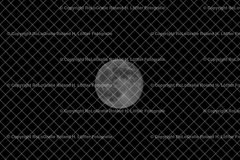 RLO_3704-Verbessert-RR | Vollmond, Halbmond, Blutmond - Realisiert mit Pictrs.com