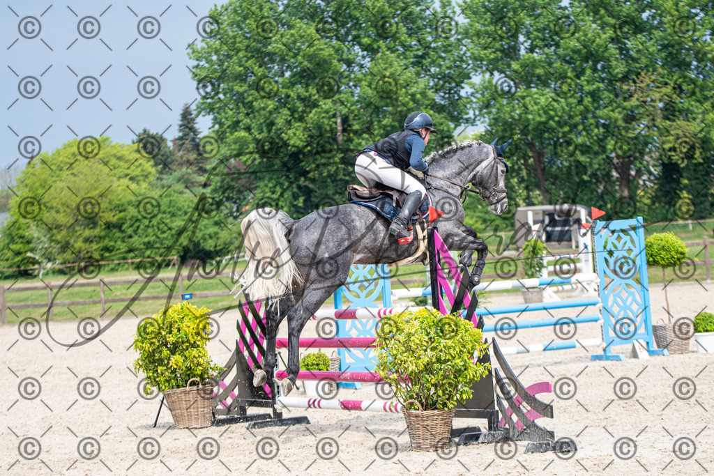 KPT_3325 | andre_photographic