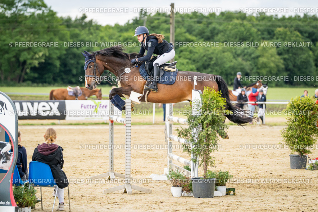 DSC06707 | Pferdegrafie