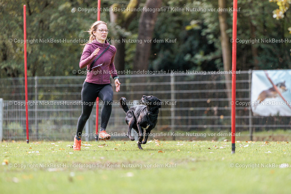 THS-HSV-Blumenthal-2026-Nickbest-Hundefotografie-2746 | Dein Hund! Dein Moment! Deine Erinnerungen! Hundefotografie in Bremen Blumenthal. Ich fange die besonderen Momente deines Vierbeiners ein – ob Indoor mit Blitzanlage oder in der freien Natur. Sicher dir dein Moment und dein Termin für eure Erinnerungen.