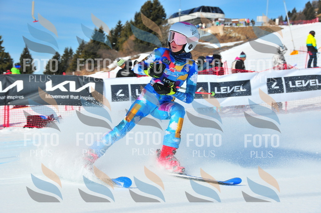 DSC_4288 | holidayphoto