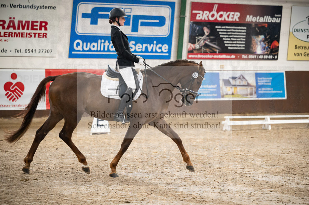 Hallenreittunier Voxtrup 2023 | Entdecke hochwertige Reitturnierfotos von Foto Oger. Professionell, emotional und authentisch – jetzt Lieblingsmomente im Shop bestellen.Deutschlandweite Turnierfotografie. - Realisiert mit Pictrs.com