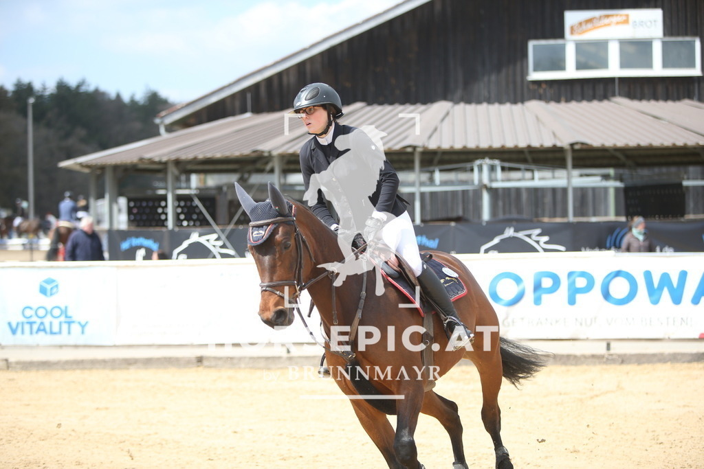 AS8V6706 | Willkommen bei Brunnmayr - Design & Fotografie – Ihrem Spezialisten für Reitturniere und Pferdeveranstaltungen in Oberösterreich, Salzburg und Bayern! Seit über 17 Jahren sind wir leidenschaftlich dabei.