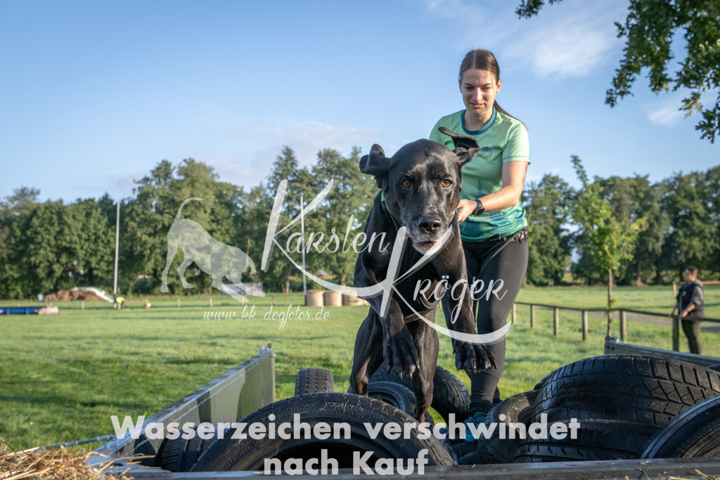 0830_ZZ91693 | kk-dogfotos