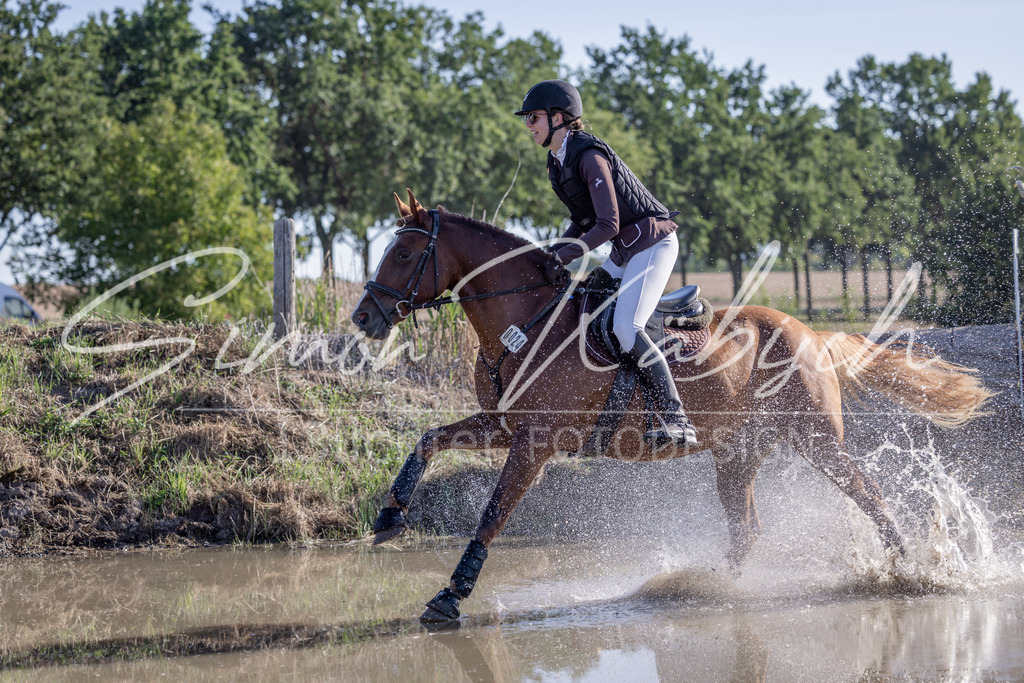 20260906-_3LI1479 | Tierfotografie Pferde, Hunde, Katzen, Haustiere.
Turnierfotografie Reitturniere, Reiten, Springreiten, Dressur in Hanau, dem Main-Kinzig-Kreis und dem Rhein-Main- Gebiet um Frankfurt