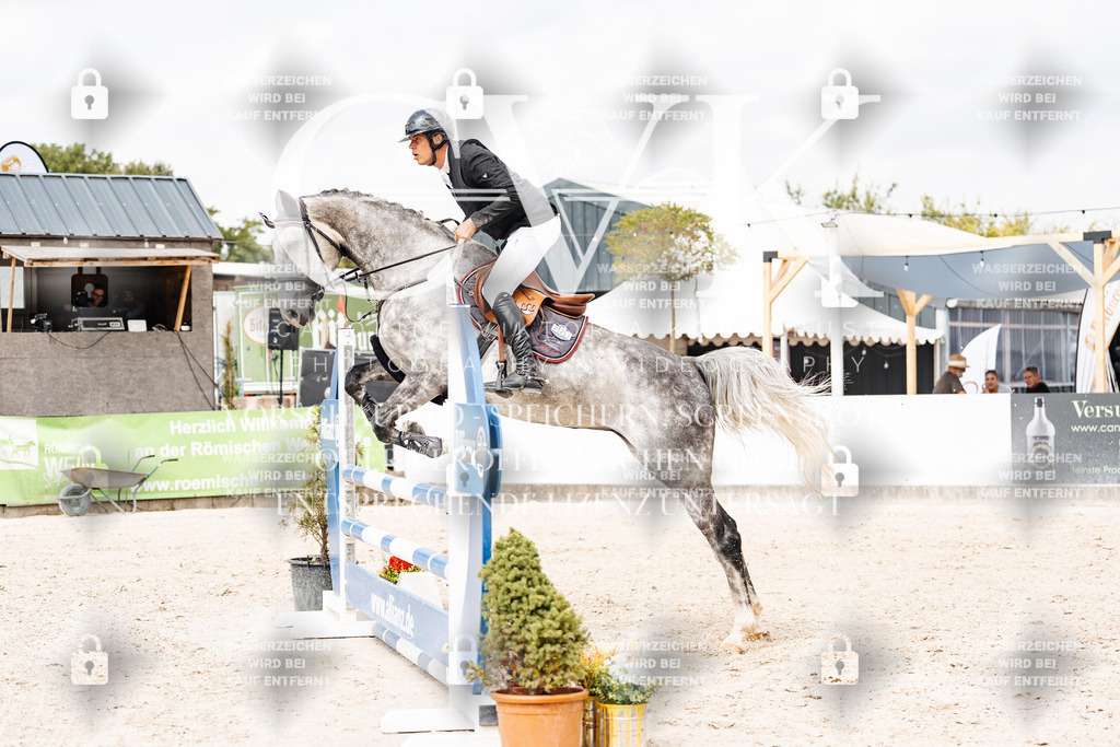 CK909173 | Turnierfotografie Pferdefotografie Trier Rheinland-Pfalz Pferdesport Reitsport Tierfotografie Sportfotografie Pferdevideo Pferdevideografie Equestrianvideography equestrianphotography  - Realisiert mit Pictrs.com