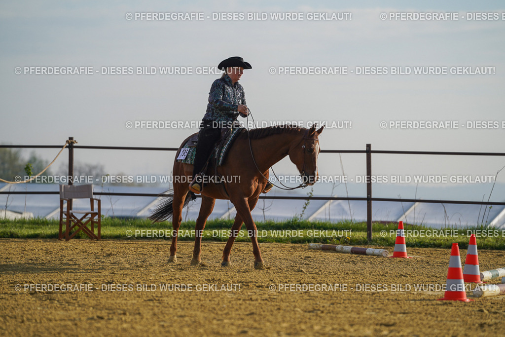 DSC00592 | Pferdegrafie