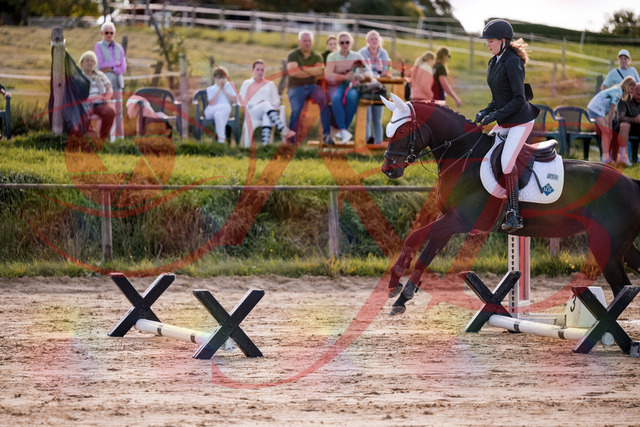2026_10_03_Siefer-Hof_145918_Z81_41206197 | Professionelle Reitsport-, Turnier- und Eventfotografie von Robert Broda. Galerien mit ausgewählten und bearbeiteten Bildern direkt online ansehen und bestellen.