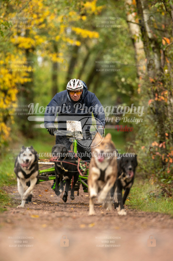 TSB_2023_E4_Kart-9 | mompixphotography