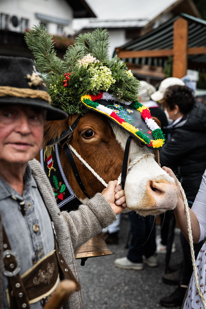 Rupertifest_Flachau_2k25_Webauflösung-351 | Bildershop Chri Fischbacher - Realisiert mit Pictrs.com