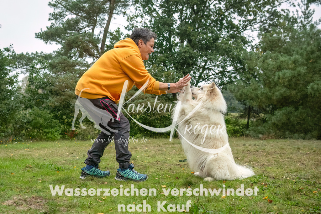 1119_ZZ94047-Bearbeitet | kk-dogfotos