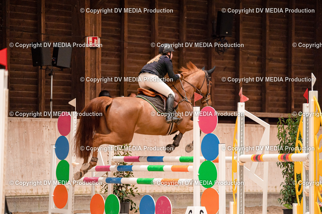 Springen Tag 3-106 | dv-media-shop - Realisiert mit Pictrs.com