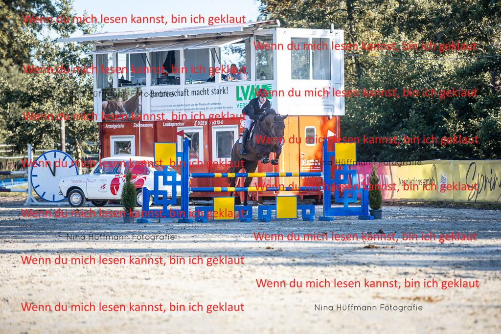 BK1A6217 | Turnierbilder Turnierfotos Nina Hüffmann Turnierfotografie Pferdefotografie Tierzeichnung Haustierzeichnung Pferdezeichnung Hundezeichnung Videograf  - Realisiert mit Pictrs.com