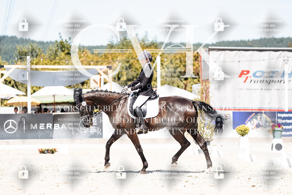 CK900208 | Turnierfotografie Pferdefotografie Trier Rheinland-Pfalz Pferdesport Reitsport Tierfotografie Sportfotografie Pferdevideo Pferdevideografie Equestrianvideography equestrianphotography  - Realisiert mit Pictrs.com