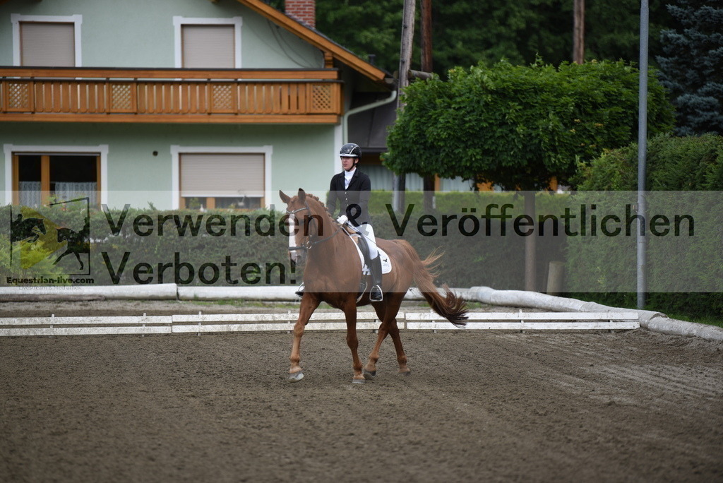 DSC_3645 | equestrian-live-com