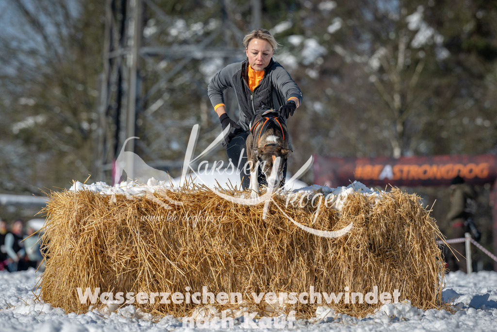 1100_ZZ94214-2 | kk-dogfotos