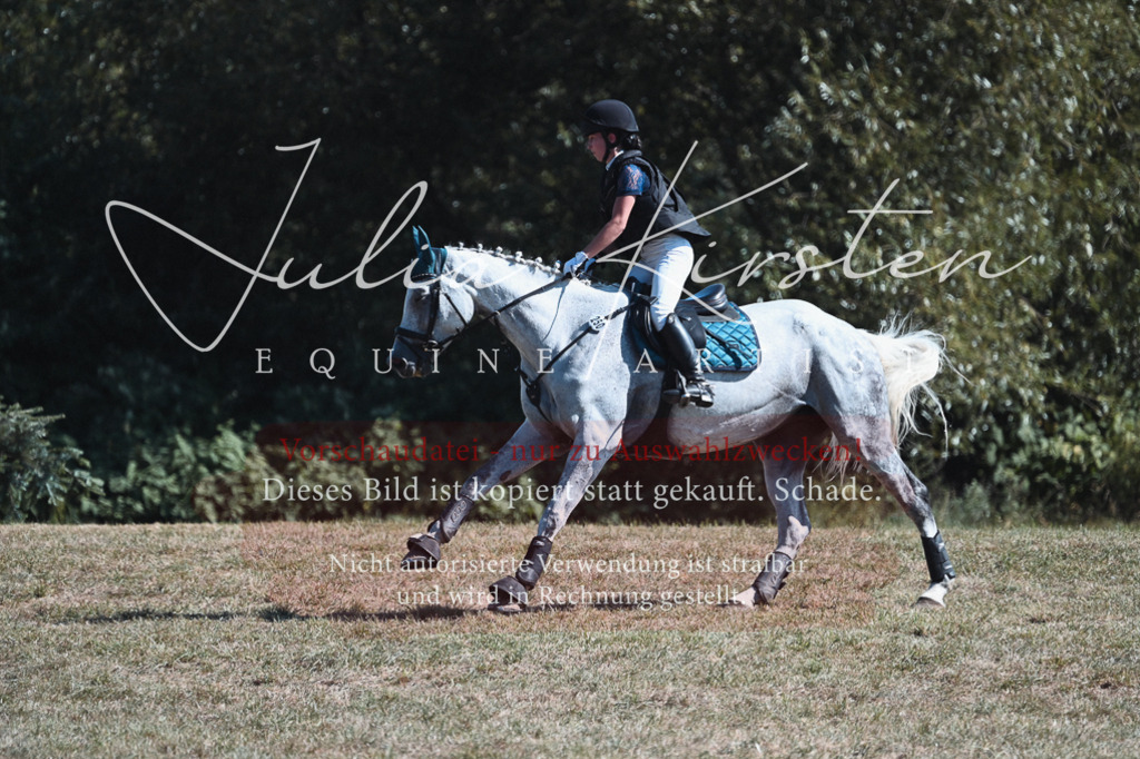 DSC_8457 | Pferde- und Turnierfotografie in Westsachsen. Pferdeportraits, Auftragszeichnungen und intuitive Kunst.