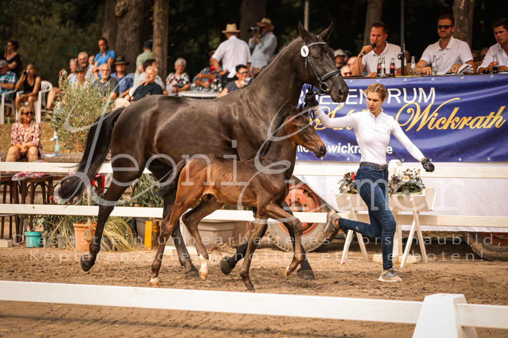 SaPA00130 | Leoni Ertmer Photography - Realisiert mit Pictrs.com