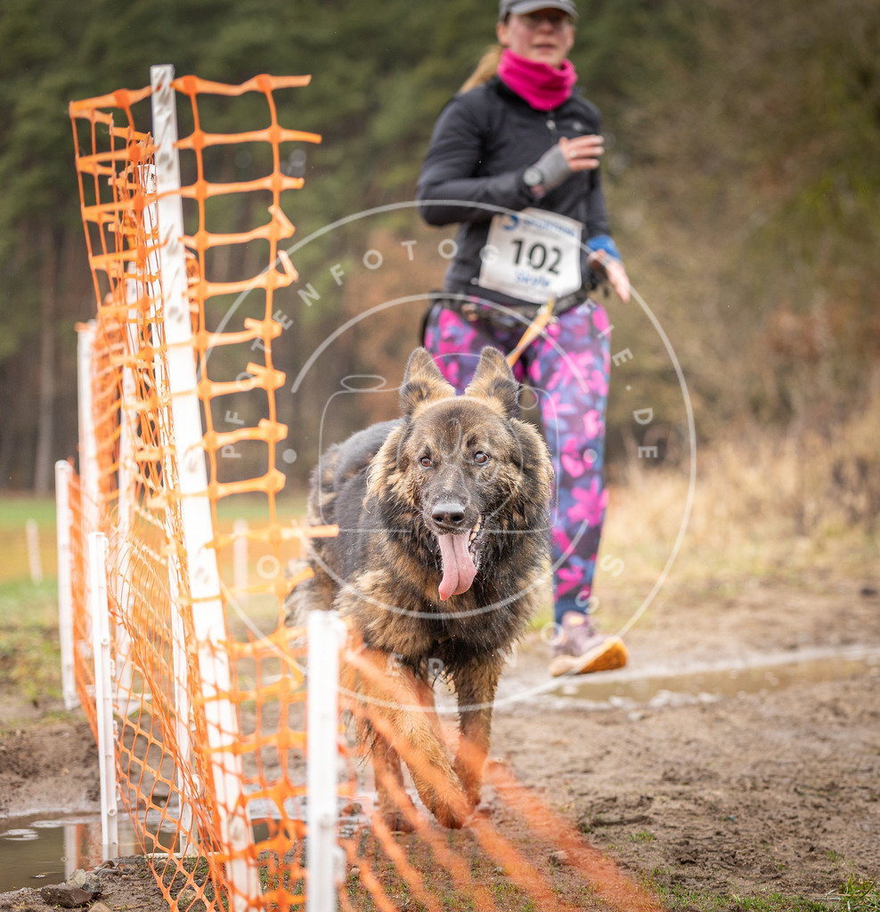 DV3A0591 | Hundefotografie, Tierfotograf, Pfotenfotografie, Fotoshooting Hund, Hunde Portrait, Hundesport, Hundeportraits, Heideshooting, Hunde, Sportfotograf, Hundefotograf, Turnierhundsport, THS,  - Realisiert mit Pictrs.com