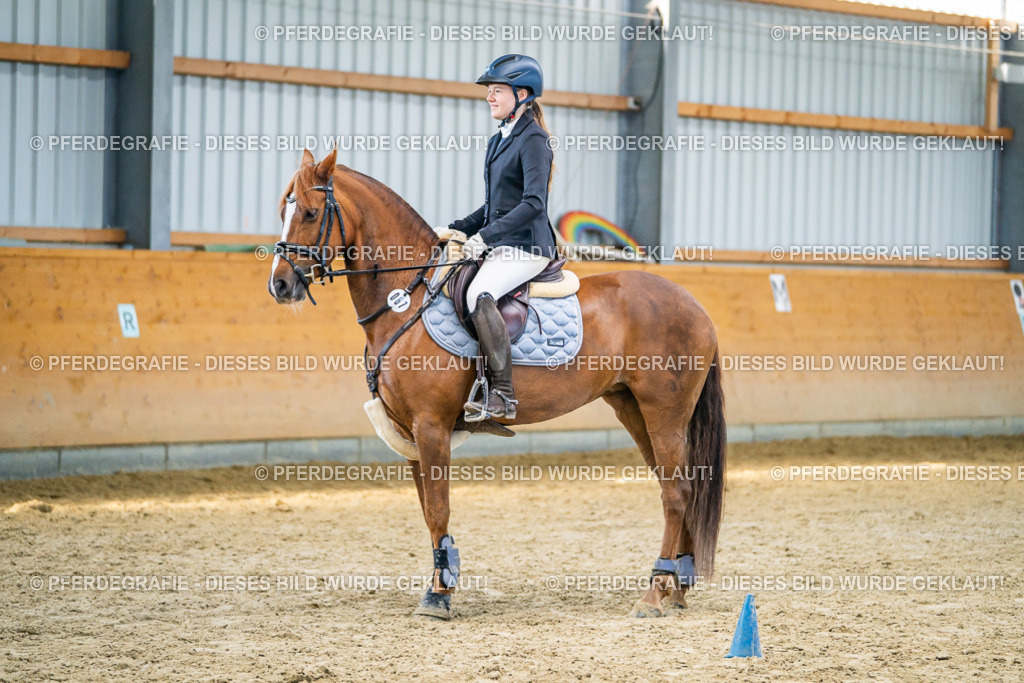 DSC01077 | Pferdegrafie