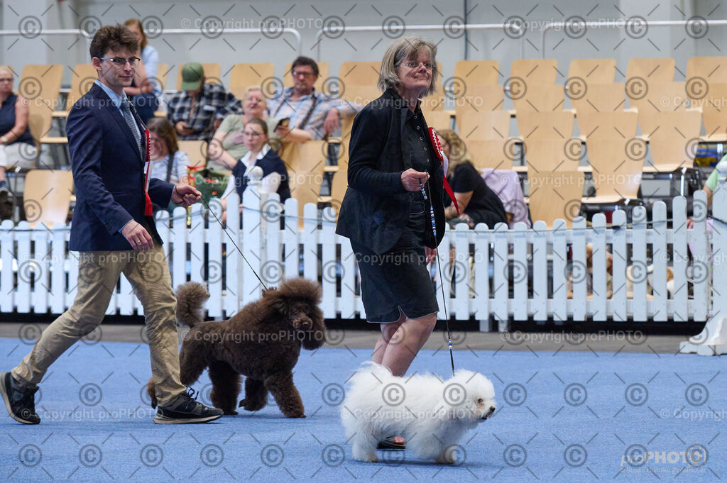 202406_ÖKV-IHA-Tulln24_DSC_5151 | proPHOTO - Realisiert mit Pictrs.com