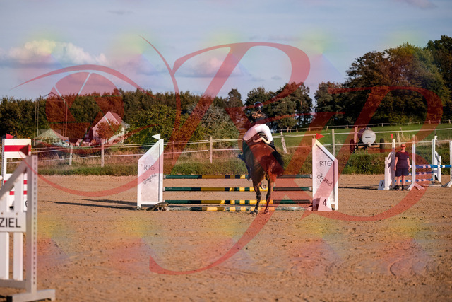 2026_10_03_Siefer-Hof_170858_Z81_05567695 | Professionelle Reitsport-, Turnier- und Eventfotografie von Robert Broda. Galerien mit ausgewählten und bearbeiteten Bildern direkt online ansehen und bestellen.