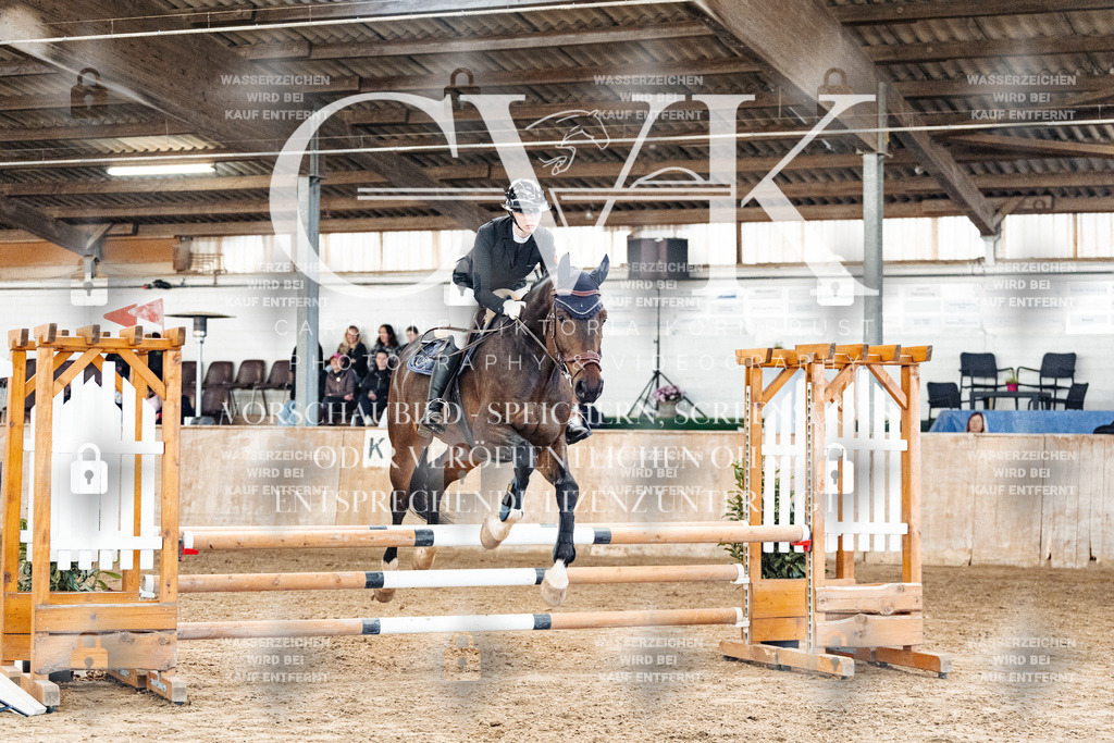 CK904565 | Turnierfotografie Pferdefotografie Trier Rheinland-Pfalz Pferdesport Reitsport Tierfotografie Sportfotografie Pferdevideo Pferdevideografie Equestrianvideography equestrianphotography  - Realisiert mit Pictrs.com