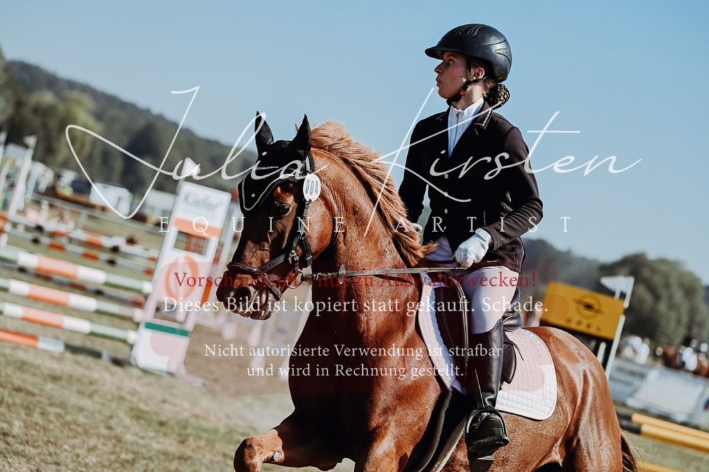 DSC_9371 | Pferde- und Turnierfotografie in Westsachsen. Pferdeportraits, Auftragszeichnungen und intuitive Kunst.