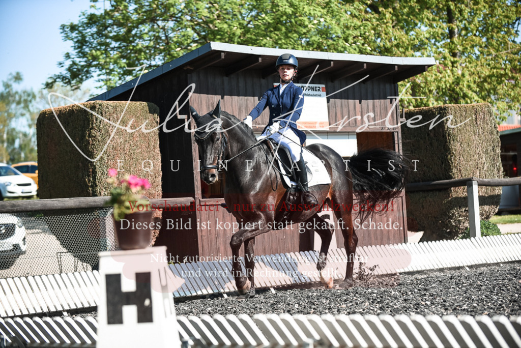 DSC_8595 | Pferde- und Turnierfotografie in Westsachsen. Pferdeportraits, Auftragszeichnungen und intuitive Kunst.